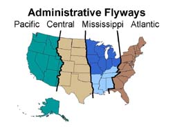Map of administrative flyways